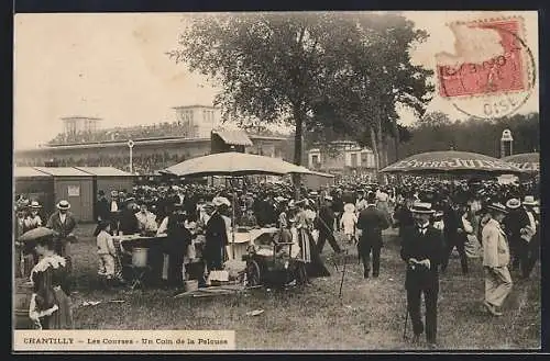 AK Chantilly, Les Courses, Un Coin de la Pelouse