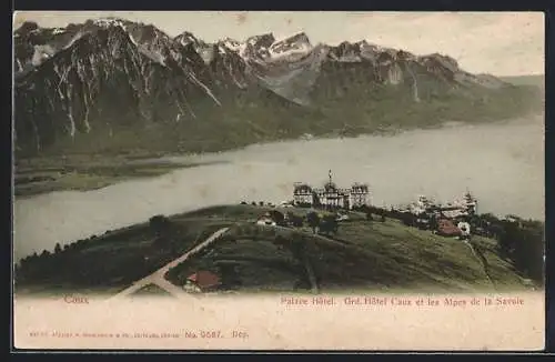 AK Caux, Palace Hotel, Grd. Hotel Caux et les Alpes de la Savoie