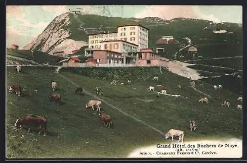 AK Rochers de Naye, Grand Hotel des Rochers de Naye