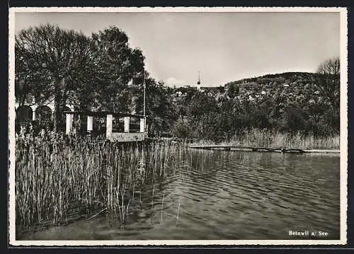 AK Beinwil a. See, Hotel Hallwil Geschw. Schmid mit Ortsblick