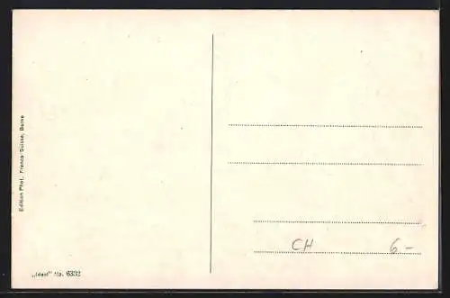 AK Fribourg, Le Pont suspendu