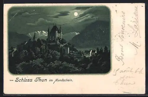 Lithographie Thun, Blick auf das Schloss