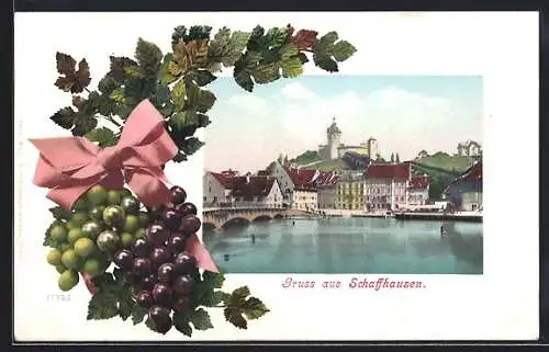 AK Schaffhausen, Uferpartie mit Schloss, Weintrauben