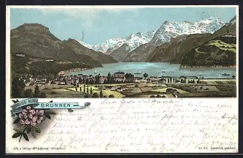 Lithographie Brunnen, Totalansicht aus der Vogelschau