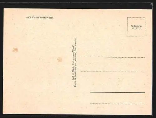 AK Steinhagen /Westf., Joh. Busch-Haus, Kath. und Ev. Kirchen, Schule, Sportzentrum