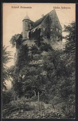 AK Schloss Hohnstein /Sa., Ortsansicht von unterhalb