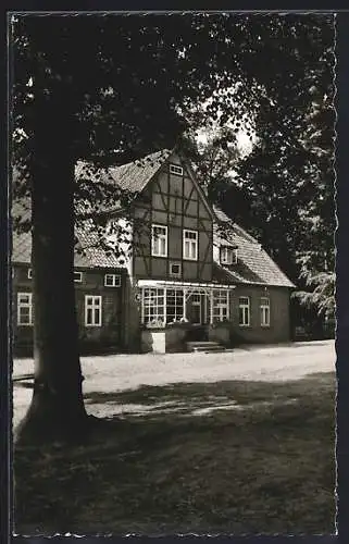 AK Zernien /Lüchow, Pension Hof Spranz H. Jauch