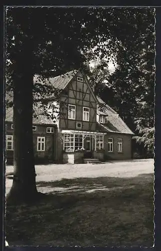 AK Zernien /Lüchow, Pension Hof Spranz H. Jauch, Frontansicht