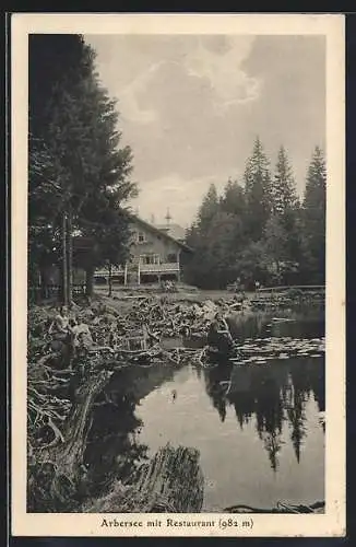 AK Bayerisch Eisenstein, Arbersee mit Restaurant