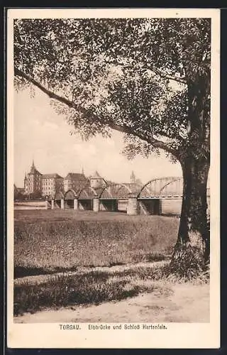 AK Torgau, Elbbrücke und Schloss Hartenfels