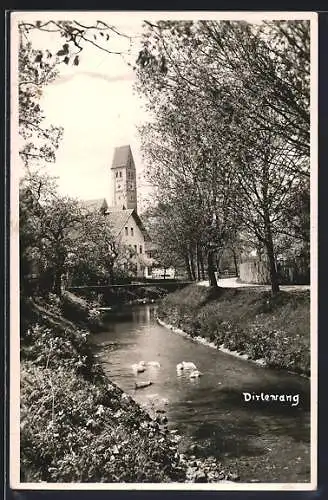 AK Dirlewang, Kleiner Kanal mit Enten und Kirchturm