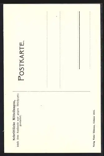 AK Koblenz, Moselansicht des Ortes, Burgruine, Ruine Ehrenburg & Bischofstein