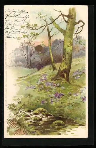 Sonnenschein-AK Teich am Waldrand