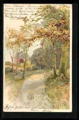 Sonnenschein-Lithographie Herbstlicher Feldweg