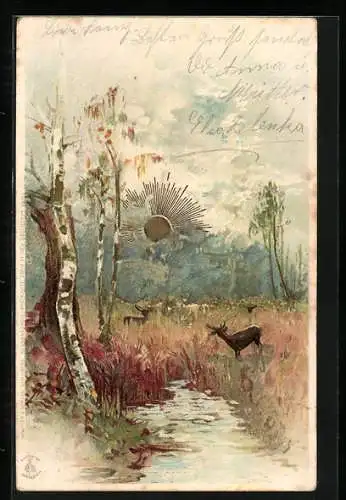 Sonnenschein-AK Fluss mit Wald und Tieren beim Sonnenschein