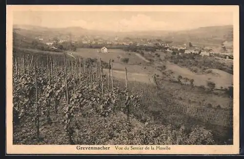 AK Grevenmacher, Vue du Sentier de la Moselle