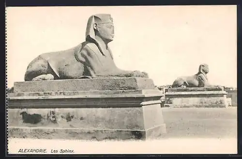 AK Alexandrie, Les Sphinx