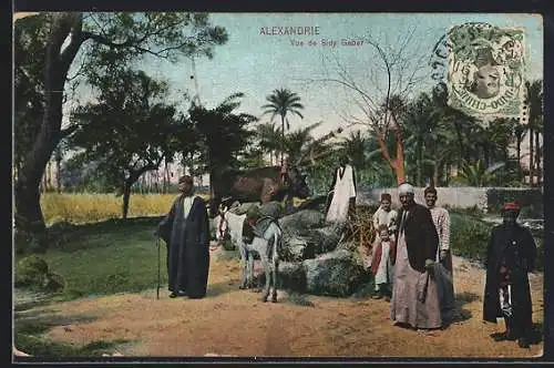 AK Alexandria, View of Sidy Gaber