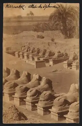 AK Karnak, Allée des Sphinx