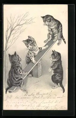 Lithographie Katzen spielen auf Wippe