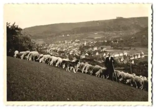 4 Fotografien unbekannter Fotograf, Ansicht Murrhardt, Stadtplatz mit Sparkasse, Strassenansicht, Panorama, Schäfer