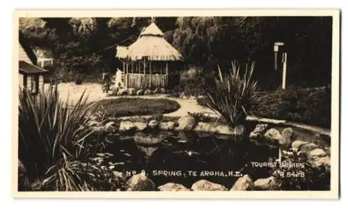 12 Fotografien unbekannter Fotograf, Ansicht Te Aroha / Neuseeland, Hotel Hazlewood, Hotel Ninemoa, Hot Springs Hotel