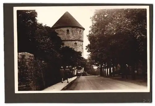 8 Fotografien unbekannter Fotograf, Ansicht Tallinn / Reval, Panorama, Hafen, Marktplatz, Stadtmauer u.a.