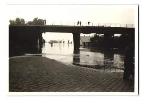 6 Fotografien Otto Wymlatil, Wien, Ansicht Wien, Stadtansicht beim Hochwasser 1954, Flut-Katastrophe, Überschwemmung