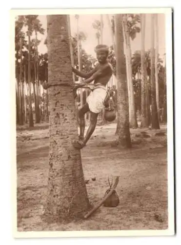 12 Fotografien Ansicht Colombo / Sri Lanka - Ceylon, Stadtansichten, Einheimische bei ihrem täglichen Leben