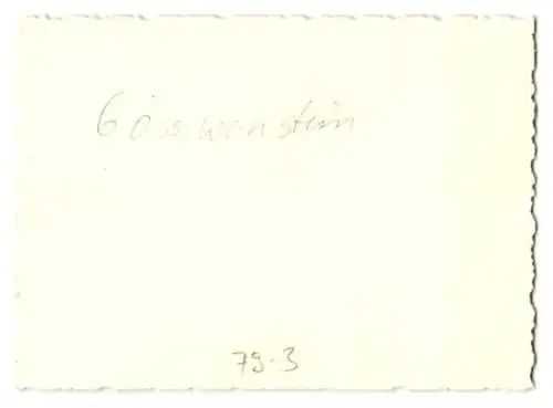 Fotografie unbekannter Fotograf, Ansicht Gössweinstein, Ortsansicht mit Burg und Kirche