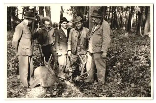 Fotografie Jagd / Hatz, Jäger-Gemeinschaft nach erfolgreicher Jagd nebst erlegtem Hirsch