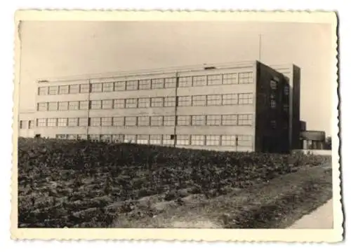 Fotografie Ansicht Jena, Bauhaus-Stil Abbeanum, Lehr- und Forschungsgebäude der Friedrich-Schiller-Universität