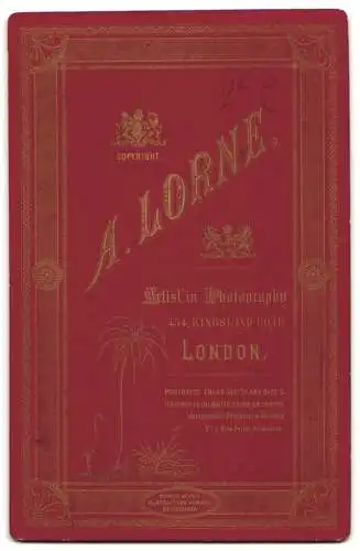 Fotografie A. Lorne, London, Kingsland Road 454, Porträt eines Mannes mit Bart