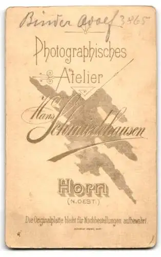 Fotografie Hans Schmiedelhausen, Horn, Porträt eines jungen Mannes