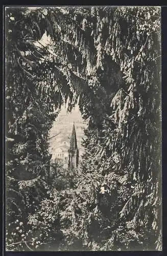 AK Freiburg i. B., Blick auf das Münster von der Brücke auf dem Schlossberg