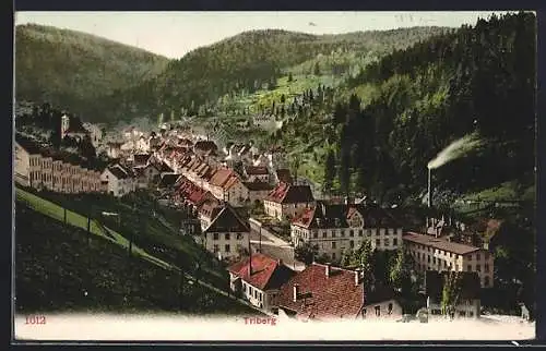 AK Triberg, Teilansicht mit Strassenpartie