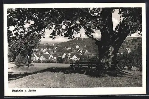 AK Westheim a. Kocher, Teilansicht mit Baum