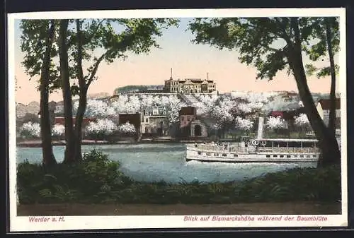 AK Werder a. H., Blick auf Bismarckshöhe während der Baumblüte