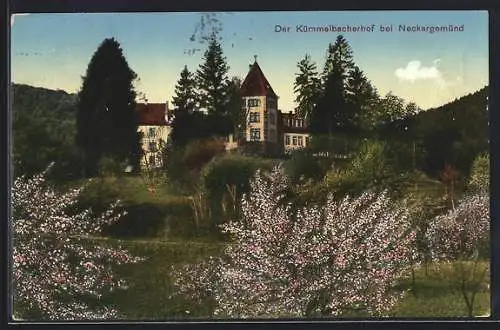AK Neckargemünd, Kümmelbacherhof mit Obstbäumen