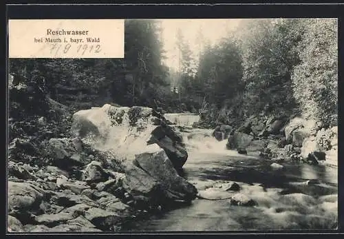 AK Mauth / Bayr. Wald, Reschwasser zwischen Bäumen