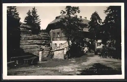 AK Dreisessel /Bayrischer Wald, Schutzhaus