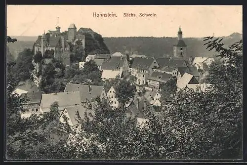 AK Hohnstein / Sächs. Schweiz, Ortsansicht