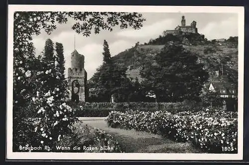 AK Braubach /Rh., Wenn die Rosen blühn