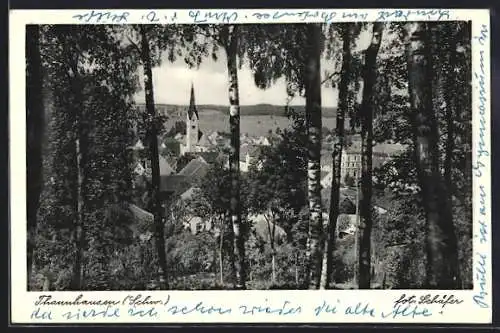 AK Thannhausen / Schw., Blick aus einem Wald auf den Ort