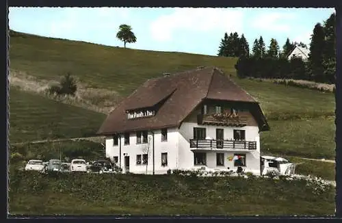 AK Todtnauberg /Schwarzwald, Haus Elisabeth