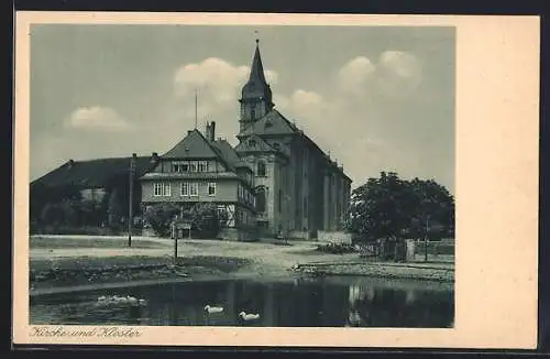 AK Goslar, Kirche und Kloster, Enten