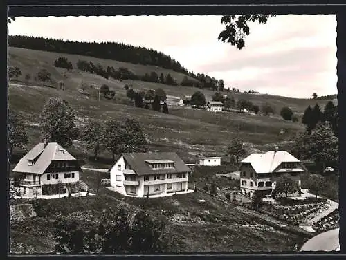 AK Todtnauberg /Schwarzwald, Ortsansicht am Berghang