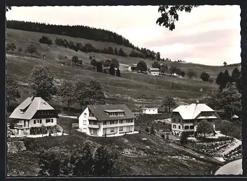 AK Todtnauberg /Schwarzwald, Ortsansicht am Berghang