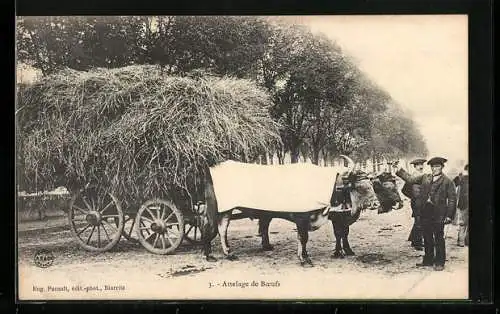 AK Attelage du Boeufs