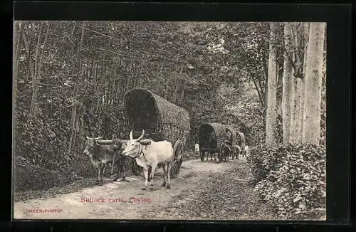 AK Ceylon, Bullock carts